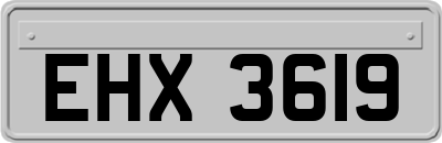 EHX3619