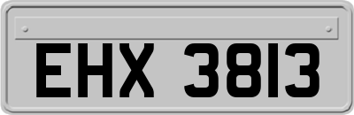 EHX3813