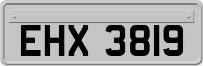 EHX3819