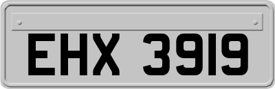 EHX3919