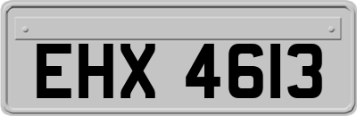 EHX4613