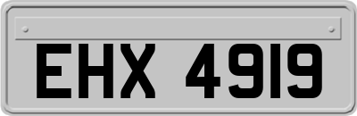 EHX4919