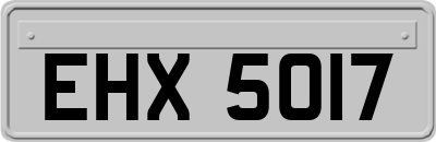 EHX5017
