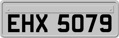 EHX5079