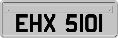 EHX5101