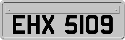EHX5109