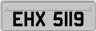 EHX5119