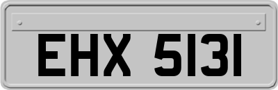 EHX5131