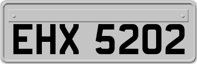 EHX5202