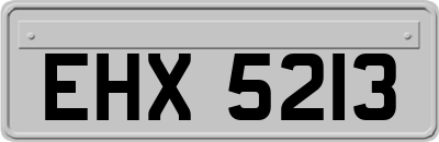 EHX5213