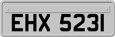 EHX5231