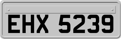 EHX5239