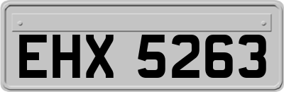 EHX5263