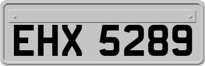 EHX5289