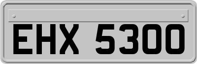 EHX5300