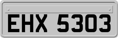 EHX5303