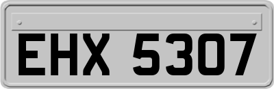 EHX5307