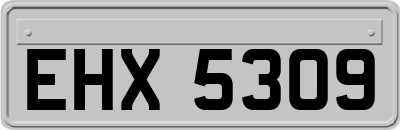 EHX5309