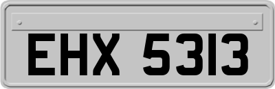 EHX5313