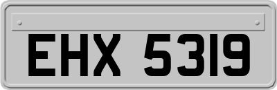 EHX5319