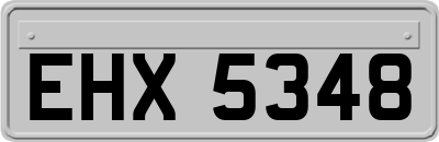 EHX5348