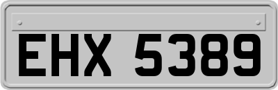 EHX5389