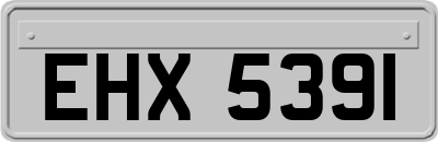 EHX5391