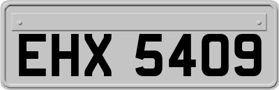 EHX5409