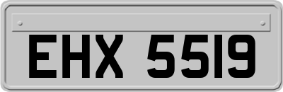 EHX5519