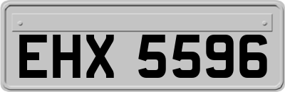 EHX5596
