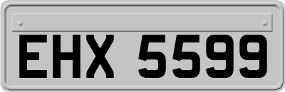 EHX5599