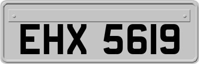 EHX5619