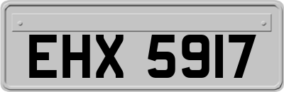EHX5917
