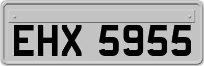 EHX5955