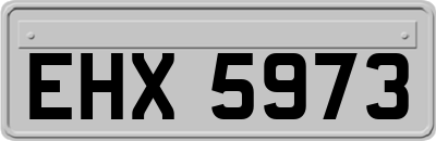 EHX5973