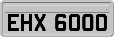 EHX6000