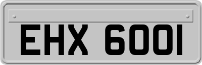 EHX6001