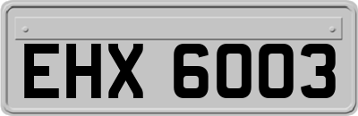 EHX6003