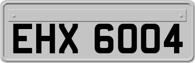EHX6004