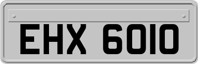 EHX6010