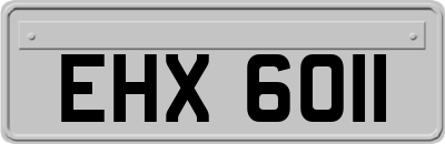 EHX6011