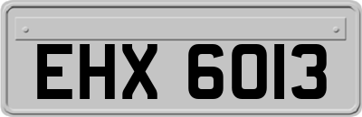 EHX6013