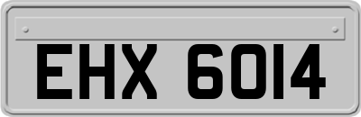 EHX6014