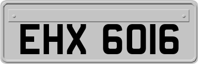 EHX6016