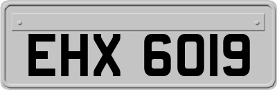 EHX6019