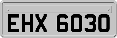 EHX6030