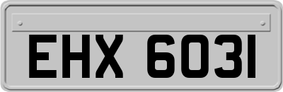 EHX6031