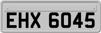 EHX6045