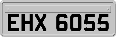 EHX6055