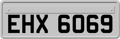 EHX6069